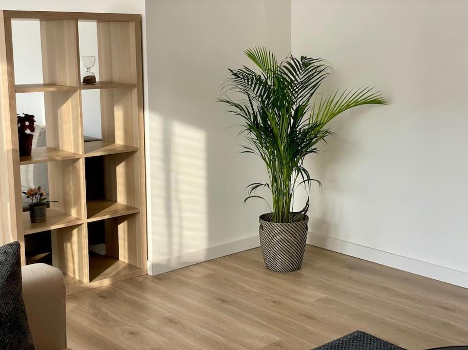 Appartement 73M2 - 2 Chambres - Parking - Wi-Fi Toulouse Exteriör bild