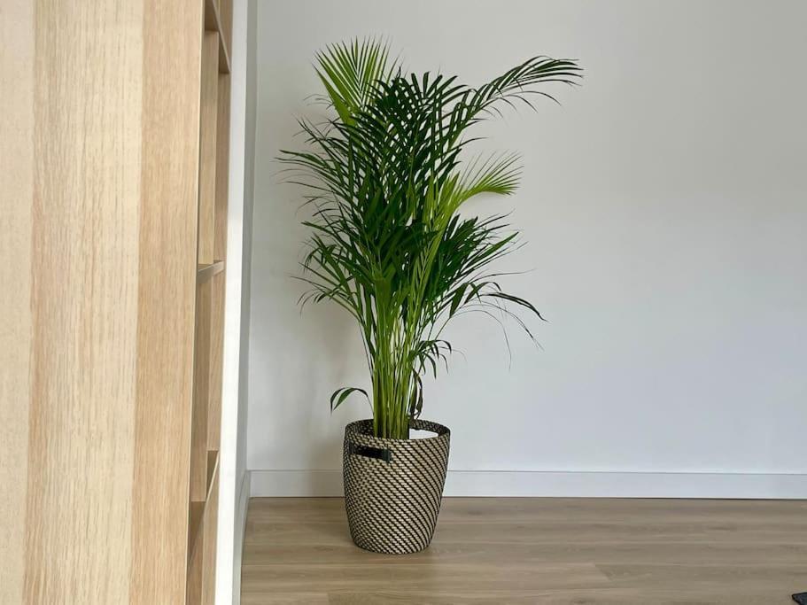 Appartement 73M2 - 2 Chambres - Parking - Wi-Fi Toulouse Exteriör bild